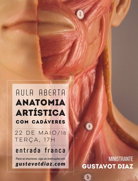 Aula gratuita Anatomia, 2018, I