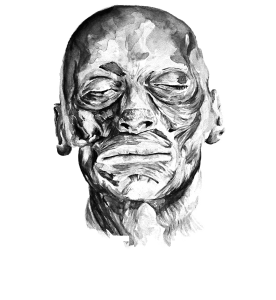 GUSTAVOT DIAZ